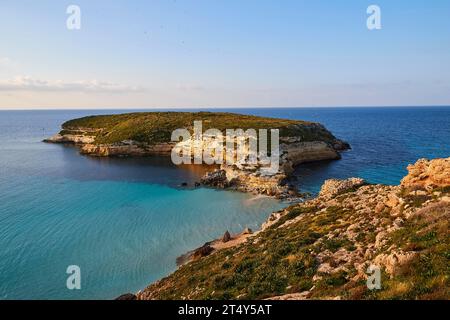 Île du lapin, Isola dei Conigli, Spiaggia dei Conigli, Riserva Naturale Orientata Isola di Lampedusa, île de Lampedusa, province d'Agrigente, pélagique Banque D'Images