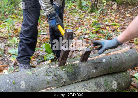 Homme utilisant des coins métalliques et un maillet pour fendre une longueur de tronc de châtaignier pour faire des poteaux de clôture en bois Banque D'Images