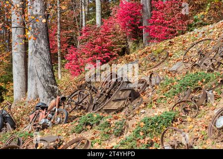 Vieux vélos et couleurs d'automne dans les Blue Ridge Mountains Banque D'Images