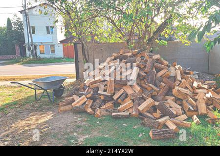 Achat de bois de chauffage dans les territoires ukrainiens désoccupés. Bois de chauffage Banque D'Images