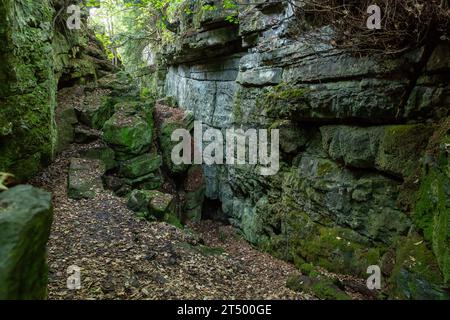 Roches moussues près du sommet de High Tor, Matlock Bath, Derbyshire, Angleterre Banque D'Images