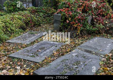 De vieilles pierres tombales sont visibles dans le cimetière le jour de la Toussaint au cimetière évangélique d'Augsbourg à Varsovie. La Toussaint (ou Dzie ? Zaduszny en polonais) est un jour férié en Pologne. C’est l’occasion de se souvenir de parents décédés. Ce jour-là, les gens apportent des fleurs, généralement des chrysanthèmes, et des bougies aux cimetières. Tout le cimetière est rempli de lumières dans l'obscurité. Le cimetière évangélique d'Augsbourg est un cimetière protestant luthérien historique situé dans la partie ouest de Varsovie. Depuis son ouverture en 1792, plus de 100 000 personnes y ont été enterrées. Banque D'Images