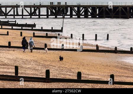 Deux dames marchant deux chiens sur la plage à Gunners Park pendant la tempête Ciaran Banque D'Images
