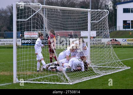 Neath, pays de Galles. 22 janvier 2017. Les joueuses de Swansea City Ladies célèbrent le deuxième but de leur équipe lors du match de la Welsh Premier Women's League entre Swansea City Ladies et Cardiff met Ladies à la Llandarcy Academy of Sport à Neath, pays de Galles, Royaume-Uni, le 22 janvier 2017. Crédit : Duncan Thomas/Majestic Media. Banque D'Images