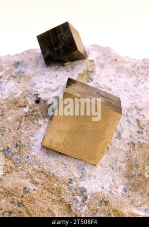 La pyrite ou la pyrite de fer est un minéral de sulfure de fer. Cristaux cubes sur matrice. Banque D'Images