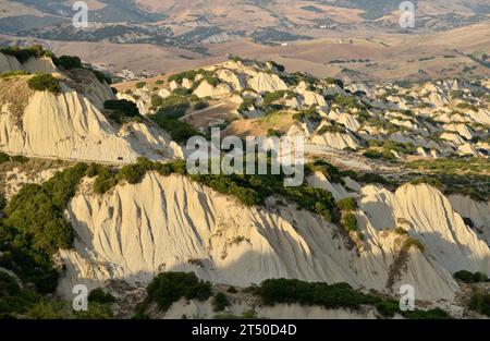 Formations de Gully près d'Aliano, Basilicate, Italie Banque D'Images