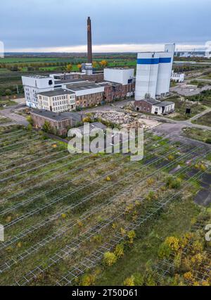 02 novembre 2023, Saxe, Delitzsch : vue de l'ancienne sucrerie, site du futur grand centre de recherche chimique. Le même jour, un document clé sur la création du «Centre pour la transformation de la chimie» a été signé dans la ville du nord de la Saxe. La création du centre coûtera au gouvernement fédéral et aux gouvernements des États un total de 1,1 milliards d'euros d'ici 2038. En plus du site principal dans les locaux d’une ancienne sucrerie à Delitzsch, un deuxième site est prévu dans le district de Saale. Au total, 700 personnes seront employées en Saxe et 300 en Saxe-an Banque D'Images