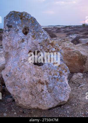 Gros plan d'un énorme rocher poreux avec de grands trous semblables à des empreintes de pattes debout sur le rivage de la mer Méditerranée à Ayia Napa, Chypre, rivage rocheux Banque D'Images