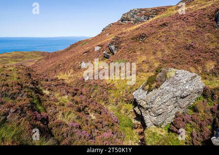 Un éperon rocheux à Mull of Kintyre sur la péninsule de Kintyre, Argyll & Bute, Écosse Royaume-Uni Banque D'Images