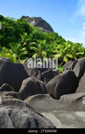 Paysage tropical près de la plage d'Anse Source d'argent. Île de la Digue, Océan Indien, Seychelles. Banque D'Images