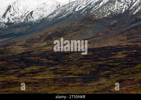 Paysage montagneux vues d'automne le long de la route de l'Alaska dans le parc national et réserve Kluane, Yukon, Canada. Banque D'Images