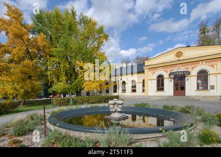 Centre communautaire près du parc à Roznov pod Radhostem en république tchèque. Combinaison d'architecture moderne et classique et de feuillage d'automne. Banque D'Images