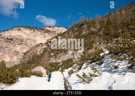 Randonnée hivernale dans le parc naturel de Fanes-Senes-Braies, San Vigilio di Marebbe, Trentin-Haut-Adige, Italie Banque D'Images