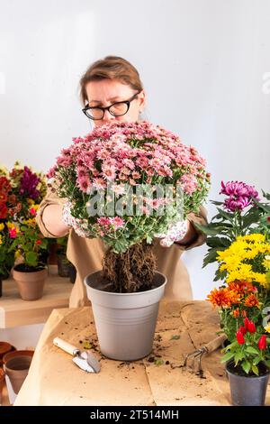 Femme de 50 ans transplantant des fleurs de chrysanthème d'automne dans des pots, décorant la terrasse ou le balcon de la maison avec des fleurs Banque D'Images