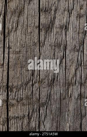 Une image captivante avec des planches de pin vieillis uniformément disposées, mettant en valeur une gamme de couleurs de bois influencées par les éléments : pluie, soleil et vent. Le Banque D'Images