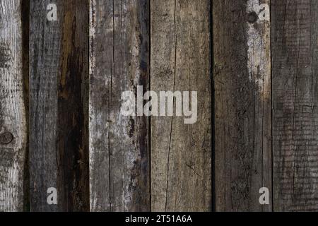 Une image captivante avec des planches de pin vieillis uniformément disposées, mettant en valeur une gamme de couleurs de bois influencées par les éléments : pluie, soleil et vent. Le Banque D'Images