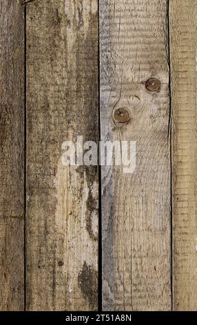 Une image captivante avec des planches de pin vieillis uniformément disposées, mettant en valeur une gamme de couleurs de bois influencées par les éléments : pluie, soleil et vent. Le Banque D'Images