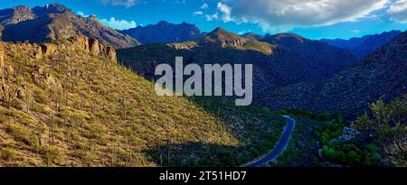 Une vue aérienne du canyon Sabino en Arizona avec le magnifique paysage des imposants cactus Saguaro Banque D'Images