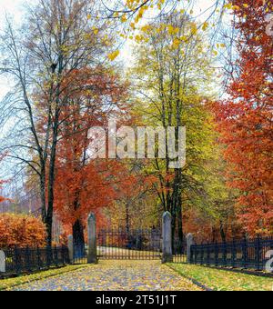 Beaux arbres d'automne par de vieilles portes. Feuilles jaunes d'automne au premier plan Banque D'Images