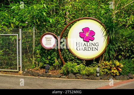 Le jardin de guérison des jardins botaniques de Singapour, Singapour Banque D'Images