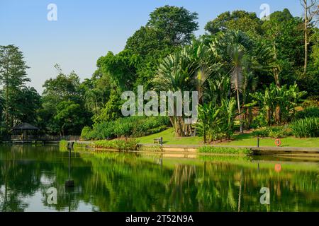 Greenwich Arrow sur le lac Symphony, Singapore Botanic Gardens, Singapour Banque D'Images