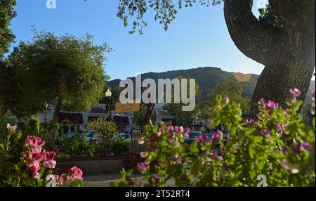 Le California Cafe dans le centre-ville haut de gamme de Los Gatos, Silicon Valley CA Banque D'Images