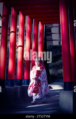 Une petite fille portant un kimono japonais passant devant les portes de Trought torii au Japon. Banque D'Images