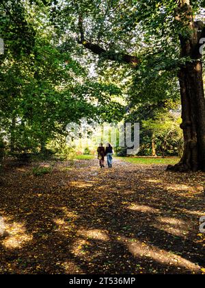 Chemin bordé d'arbres dans Central Park de New York, les feuilles d'automne couvrent la passerelle, deux femmes marchant au loin, vues de dos. Calme, contemplatif. Banque D'Images