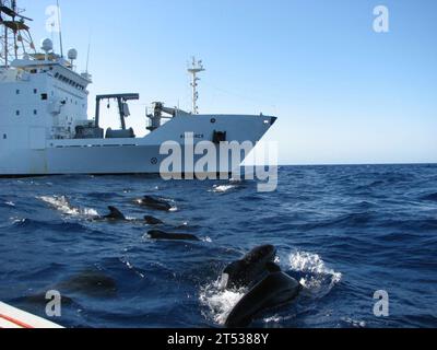 0908079999a-001 MER MÉDITERRANÉE (7 août 2009) des baleines pilotes font surface près du navire de recherche Alliance de l'OTAN pendant l'étude Biological and Behavioral Studies of Marine Mammals in the Western Mediterranean Sea (MED 09). Cette étude multinationale, axée sur les comportements et les habitats des mammifères marins, a été principalement parrainée par la marine américaine et le Strategic Environmental Research and Development Program (SERDP). Les chercheurs ont apposé des étiquettes de surveillance sur deux baleines pilotes, et ont surveillé acoustiquement les baleines à bec et d'autres mammifères marins pour en apprendre davantage sur leur biologie fondamentale. (US Nav Banque D'Images