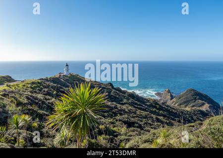 Cape Reinga point le plus au nord de la Nouvelle-Zélande, monument naturel dans la réserve te Paki et destination touristique poupulaire incontournable dans Northlands, Nouvelle-Zélande Banque D'Images