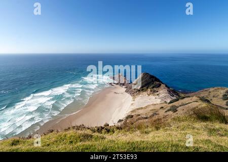 Cape Reinga point le plus au nord de la Nouvelle-Zélande, monument naturel dans la réserve te Paki et destination touristique poupulaire incontournable dans Northlands, Nouvelle-Zélande Banque D'Images