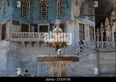 Fontaine dorée scintillante nichée dans les jardins luxuriants du palais de topkapi, avec des oiseaux qui bluffent et se rajeunissent dans ses eaux fraîches. Banque D'Images