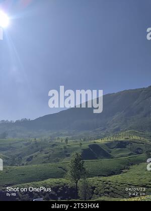 Un grand camion circulant sur une route pittoresque bordée d'arbres par une journée ensoleillée, entouré de collines verdoyantes et d'une végétation luxuriante Banque D'Images