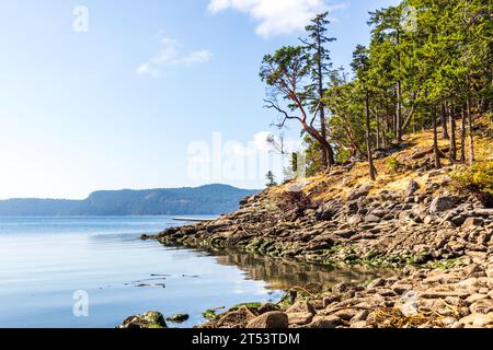 Arbres le long du rivage rocheux d'une plage de Mayne Island, Colombie-Britannique, Canada. Banque D'Images