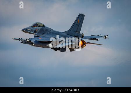 Gioia Del Colle, Italie. 01 novembre 2023. Lockheed Martin F-16a/B MLU Fighting Falcon du 31e escadron de la Force aérienne belge lors de l'exercice OTAN Tiger Meet 2023 à la base aérienne Gioia del Colle (Italie) Lockheed Martin F-16a/B MLU Fighting Falcon du 31e escadron de la Force aérienne belge lors de l'exercice OTAN Tiger Meet 2023 à la base aérienne de Gioia del Colle (Italie) crédit : Agence de photo indépendante/Alamy Live News Banque D'Images