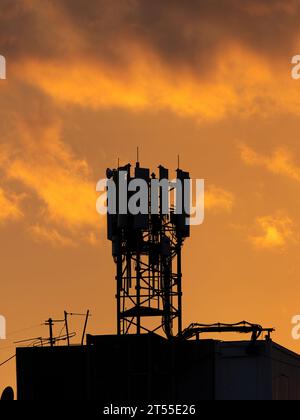 Silhouette de tour de télécommunication avec antennes de panneau de micro-ondes, unités d'émetteur à distance, technologie sans fil, GSM, 5G, fibres optiques sur le toit de b Banque D'Images