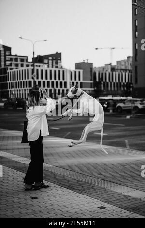 Femme avec chien Podenco Ibicenco dans la rue, lévrier, portrait. Banque D'Images