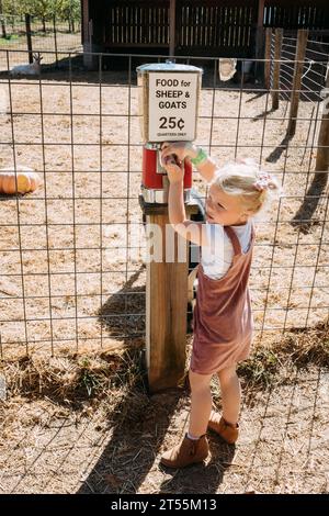 Enfant obtenant de la nourriture pour les animaux au zoo pour enfants Banque D'Images