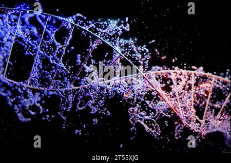 Brin spiral chromosomique de l'hélice d'ADN avec des particules de lumière de néon bleu.illustration 3D. Banque D'Images