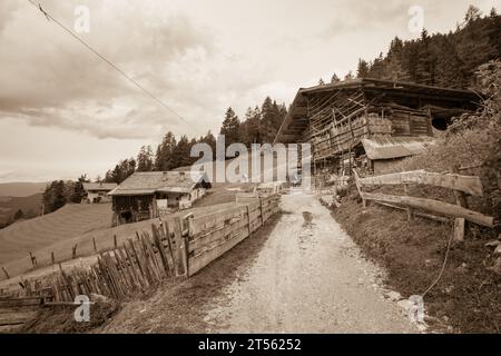 Vieux foin dans un pâturage à Val Gardena Banque D'Images