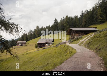 Vieux foin dans un pâturage à Val Gardena Banque D'Images