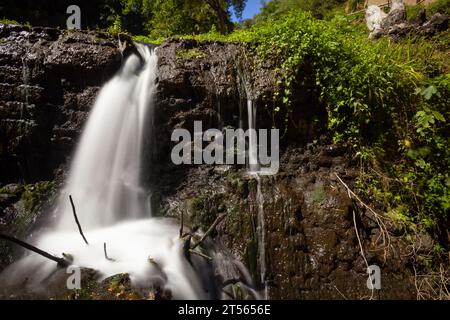 Voyage dans le cœur de la nature : captivantes images à longue exposition représentent les cascades du Rio Fratta à Corchiano, une symphonie d'eau, de rochers et de forêts. Banque D'Images