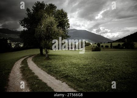 Vieux foin dans un pâturage à Val Gardena Banque D'Images