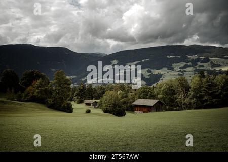 Vieux foin dans un pâturage à Val Gardena Banque D'Images