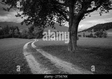Vieux foin dans un pâturage à Val Gardena Banque D'Images