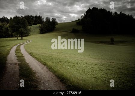 Vieux foin dans un pâturage à Val Gardena Banque D'Images