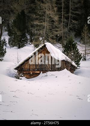 Cabane en bois abandonnée couverte de neige dans une forêt d'hiver, Carinthie, Autriche Banque D'Images