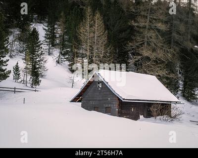 Cabane en bois couverte de neige dans une forêt d'hiver, Carinthie, Autriche Banque D'Images