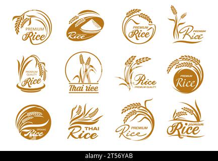 Icônes du riz avec des plantes céréalières et des grains de paddy. Vector Gold feuilles et graines d'usine de culture de champ, silhouettes de pile de bol et de grains dans des cadres ronds, étiquettes d'emballage de riz thaï et jasmin Illustration de Vecteur