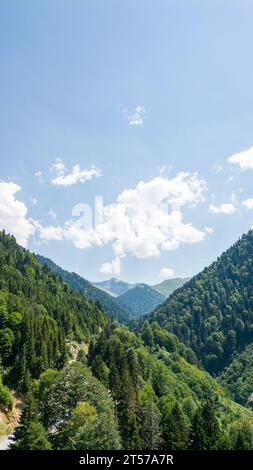 Montagne couverte de forêts. Vue aérienne de la forêt. La chaîne de montagnes est une zone naturelle protégée. Rize Kackar montagnes par temps nuageux clair Banque D'Images